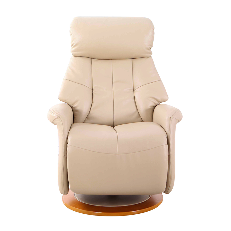 leather recliner