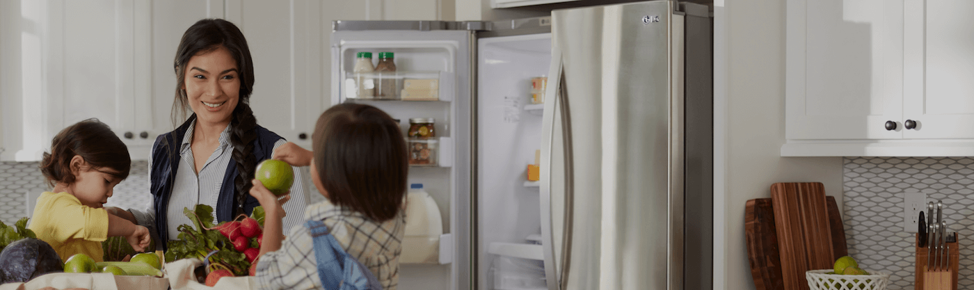 Encontrar el mejor refrigerador para usted