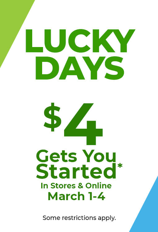 Rent to Own Loveseats, Sofas, and Couches Aaron's